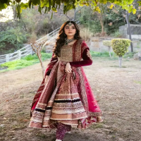  Durefishan Saleem’s regal wedding look mesmerizes fans