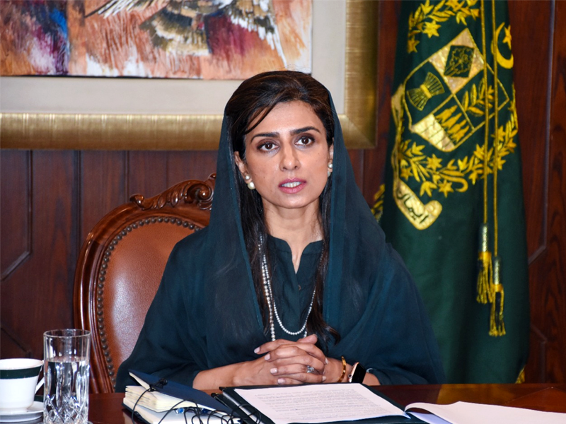 Pakistan will remain leading voice for vulnerable, oppressed: Hina Khar