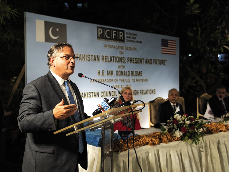 US not influencing Pakistan on ties with China, says envoy Blome