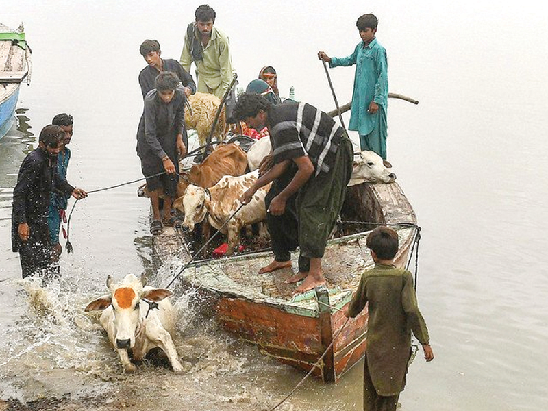 Floods wreak havoc, death toll crosses 1,030 mark: NDMA