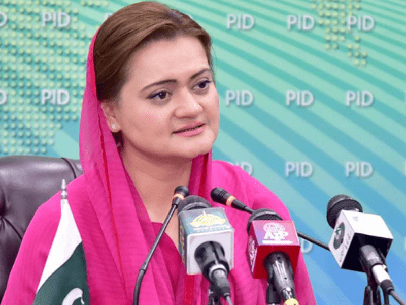 Marriyum seeks FIA action against culprits for character assassination of actors