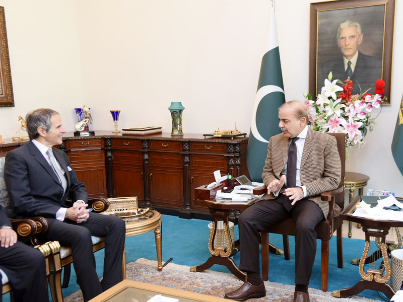 PM Shehbaz discusses nuclear medicine, agri, power with DG IAEA