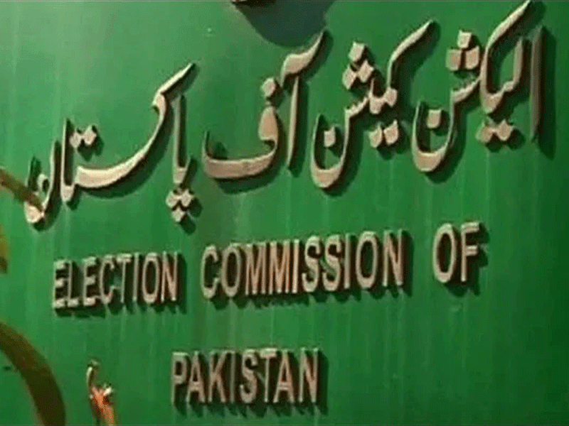 ECP has ‘no jurisdiction’ to disqualify lawmakers for life, SC rules in Vawda case