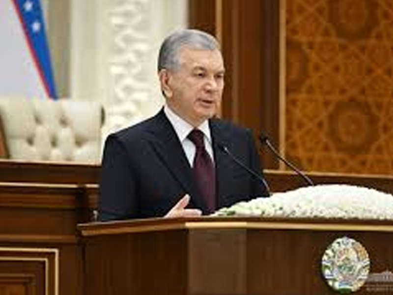 Uzbek President says only strong will, unity and hard work will ensure peace