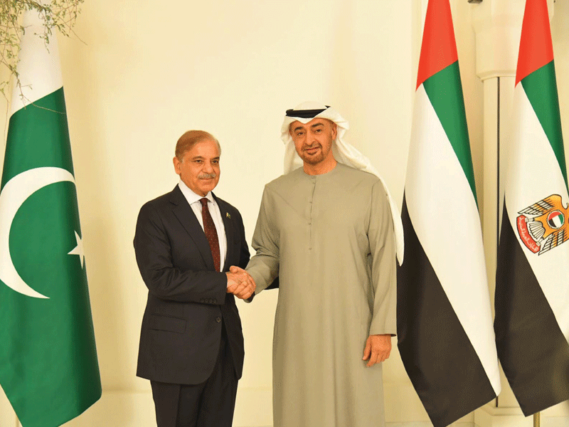 PM Shehbaz, UAE President discuss economic relief