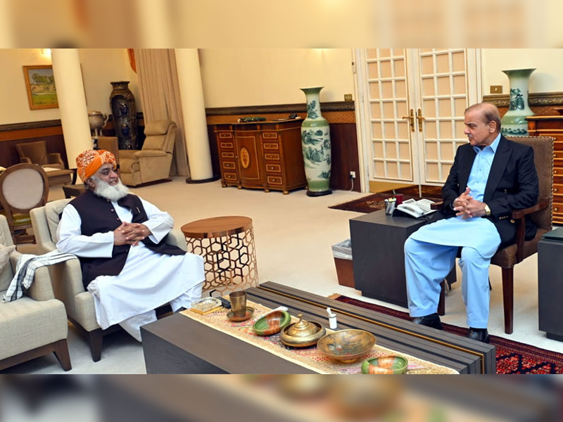 PM Shehbaz, JUI(F) Chief Fazl discuss political situation