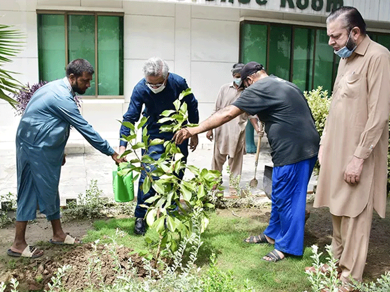 SSUET initiates plantation campaign