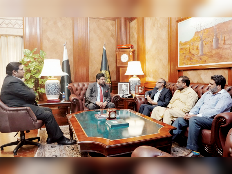 MQM-P, Gov Sindh discuss eco, political situation