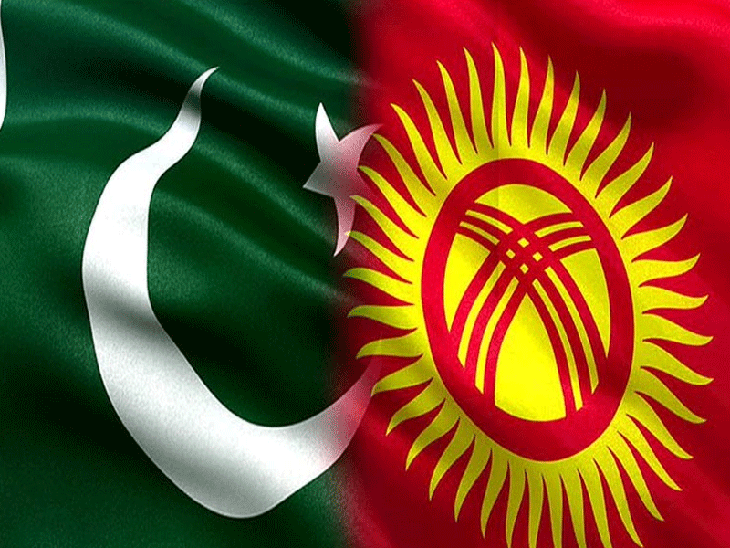 Pak-Kyrgyz to collaborate in healthcare sector: Dr Zhumaliev