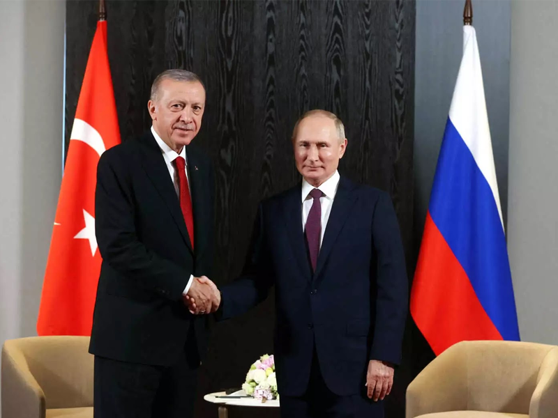 Erdogan shows willingness to resolve Russia-Ukraine crises