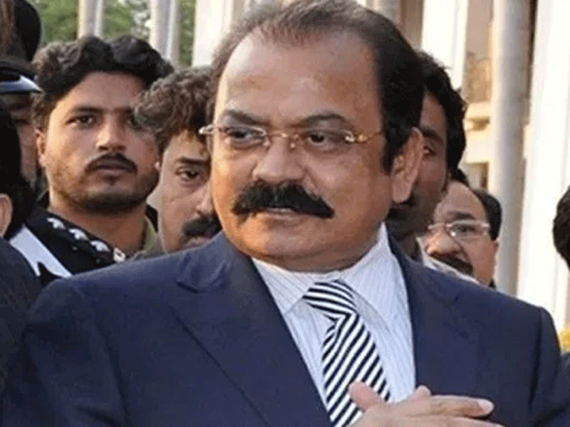 Rana Sanaullah assures support for promoting trade, business activities