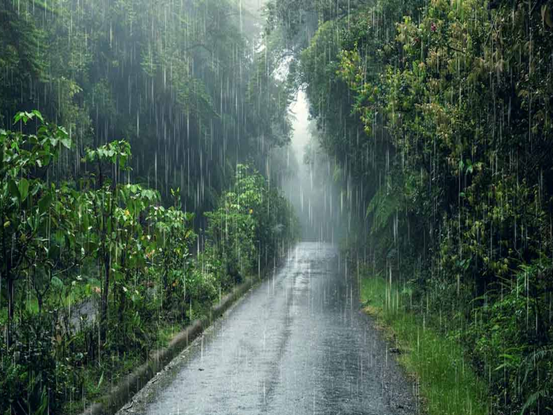 Met Office forecasts torrential rains in country from Aug 1-6