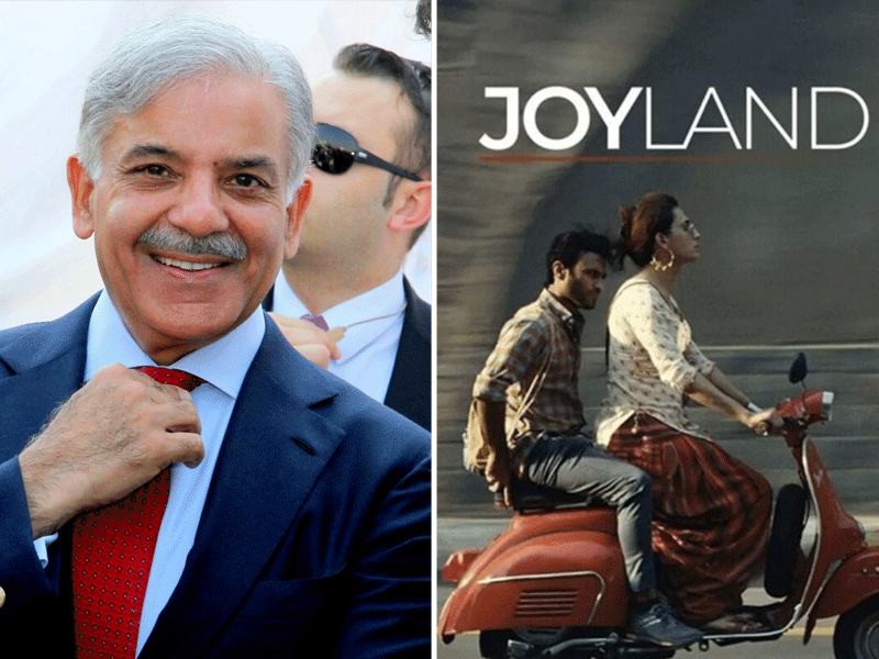 PM Shehbaz constitutes committee to ‘deliberate on complaints against Joyland’