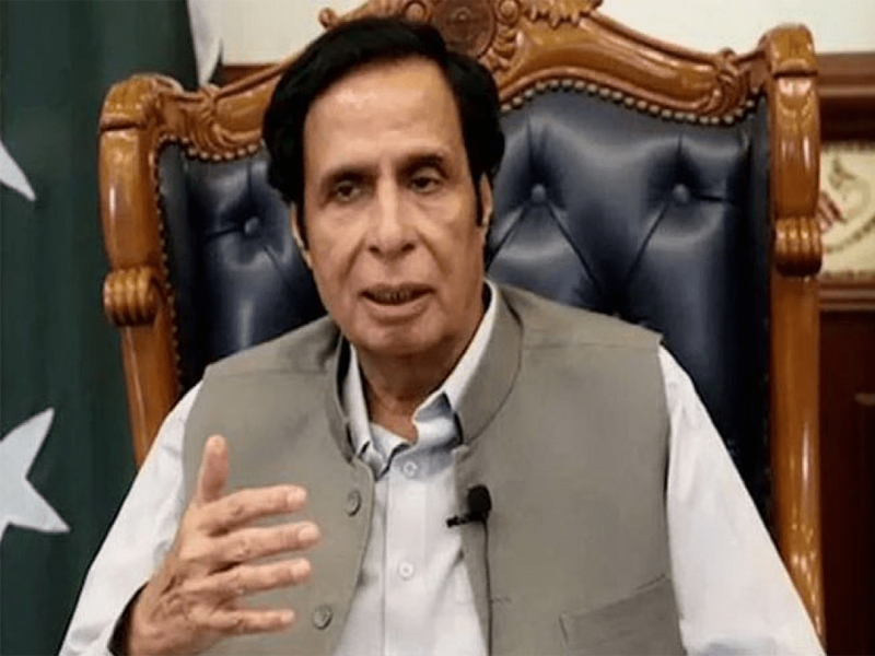 Elahi advises politicians to secure protective bails before elections