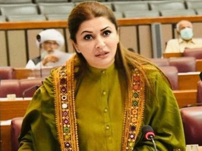 PPP supports elections in 90 days, Shazia Marri says