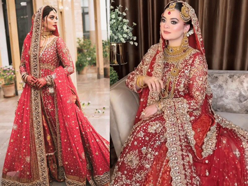 Minal delights fans with her beauty in bridal look