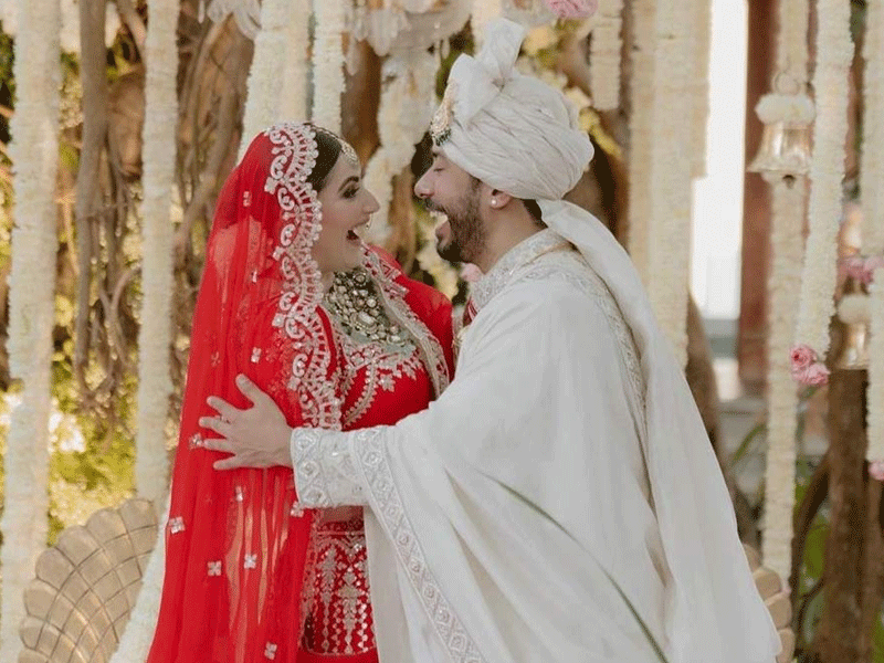 Abhishek Pathak, Shivaleeka Oberoi ties knot in Goa