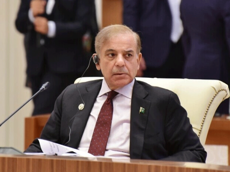 PM Shehbaz lands in Egypt to attend SCIS