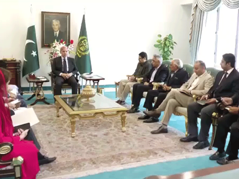 PM in constant consultation with allied parties on improvement in Punjab situation