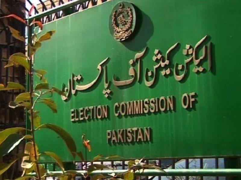 ECP refutes Sana’s Sindh LG polls statement