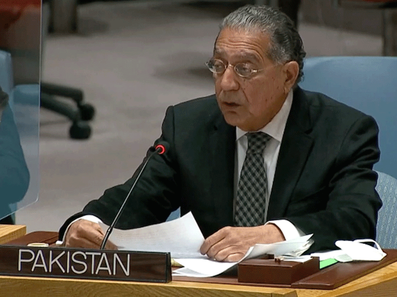 Envoy urges Pakistanis to keep alive spirit of freedom on Pakistan Day