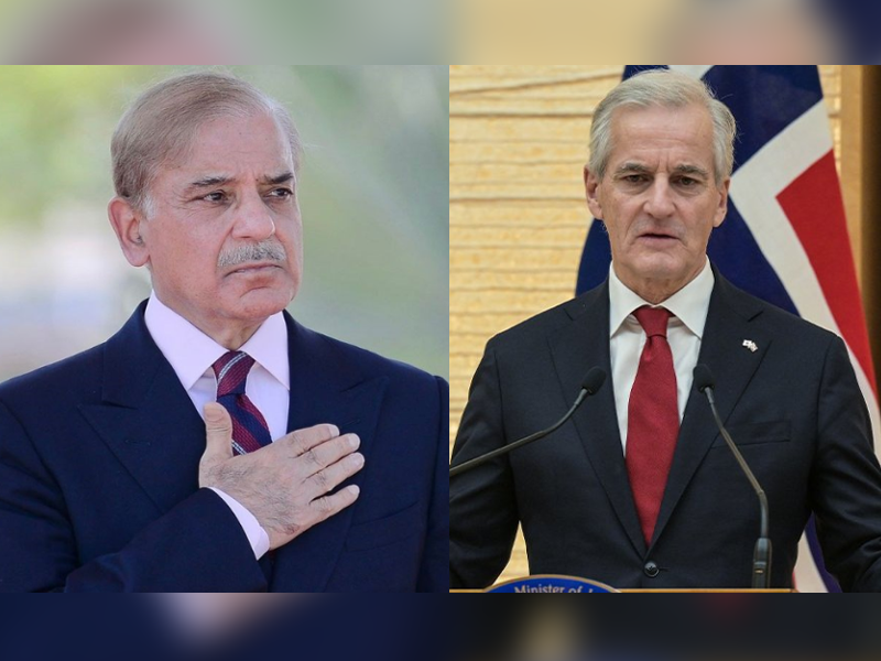 PM Shehbaz hails Norway's recognition of Palestine as bold move