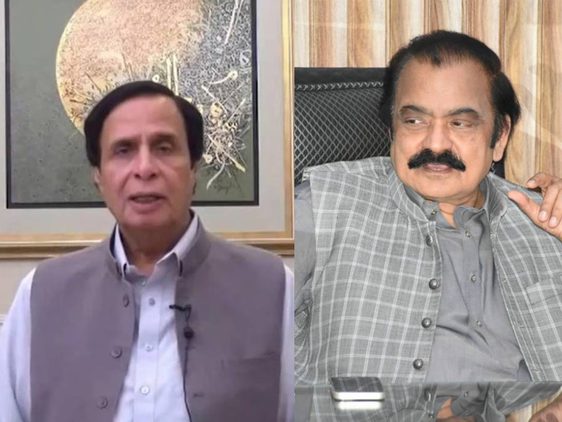 Rana Sanaullah says CM Elahi to be removed from office after new declaration