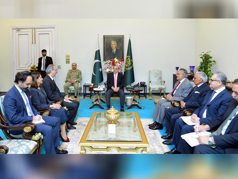 PM Shehbaz calls for cementing Pak-Turkiye bilateral ties