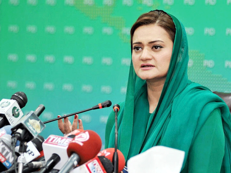 PM consults with Zardari, Shujaat, Fazal over Punjab caretaker CM: Marriyum