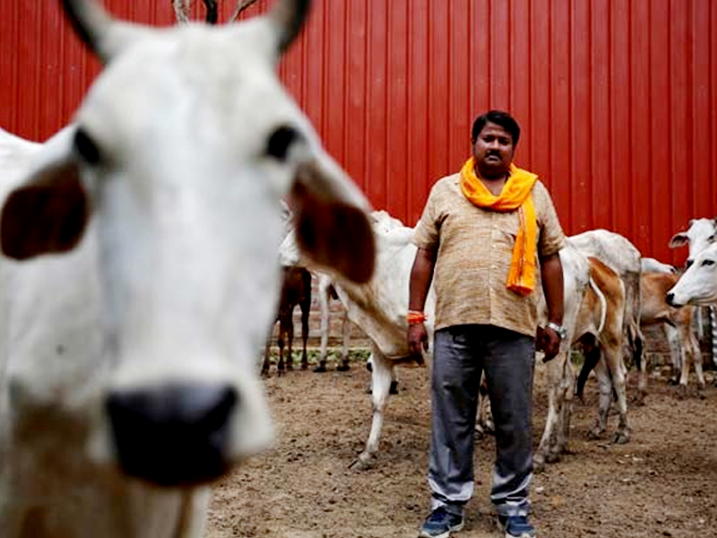 Muslim man beaten to death by ‘cow vigilantes’ in India