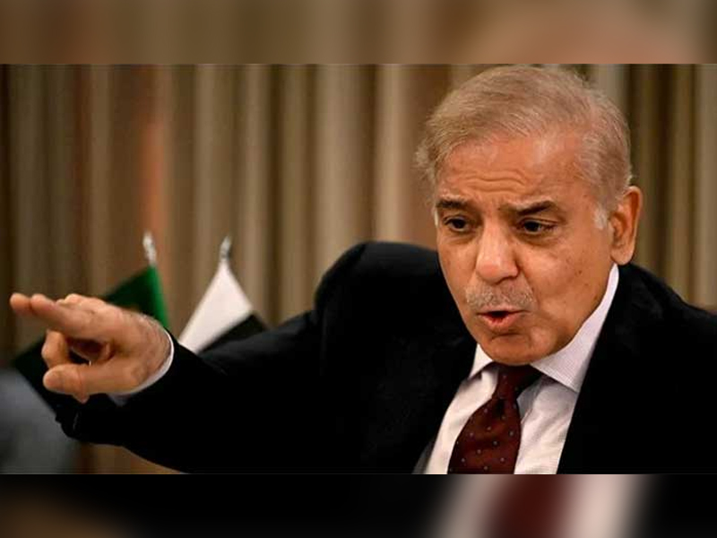 PTI hatching conspiracy to delay polls: Shehbaz Sharif