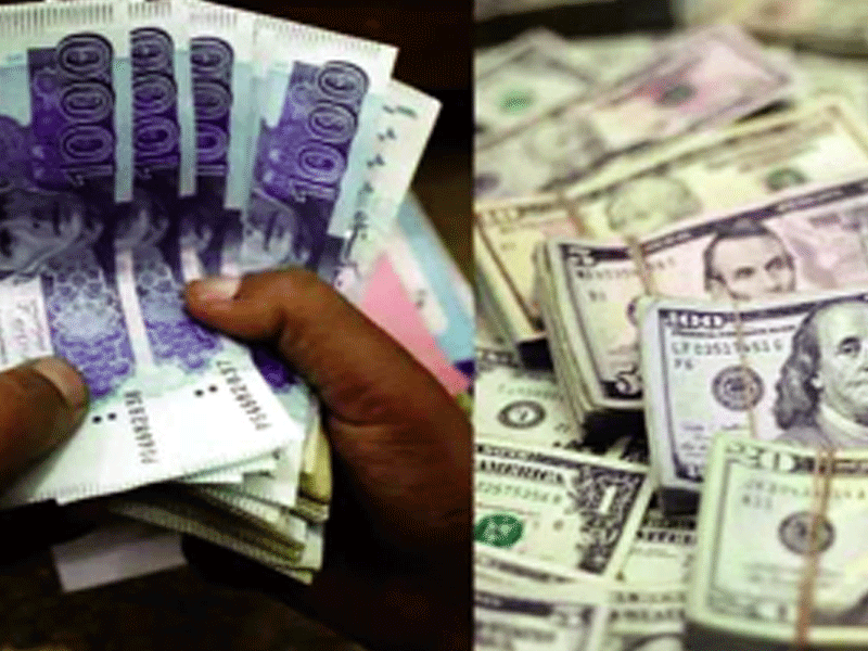 Rupee settles at 283.9 against dollar