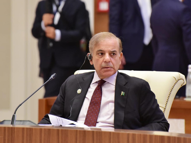 PM Shehbaz calls for devising sustainable plan to tackle climate change