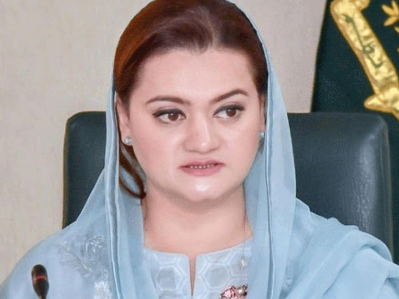 APNS hails Info Minister for resolving newspaper industry’s issues