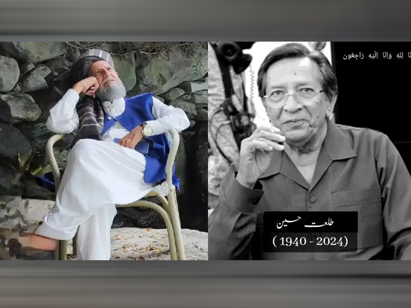 Pakistani celebrities who passed away in 2024