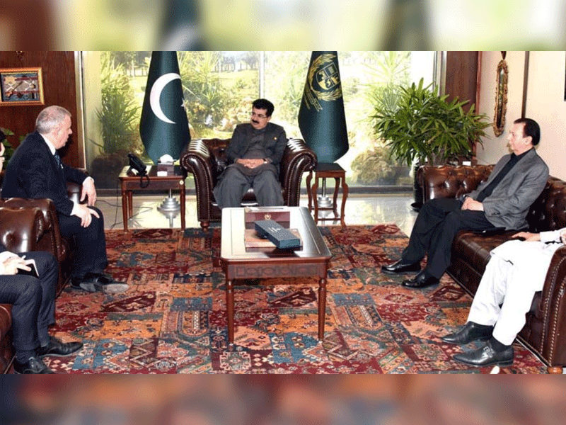 Italian envoy, Sadiq Sanjrani focus energy matters, regional dynamics