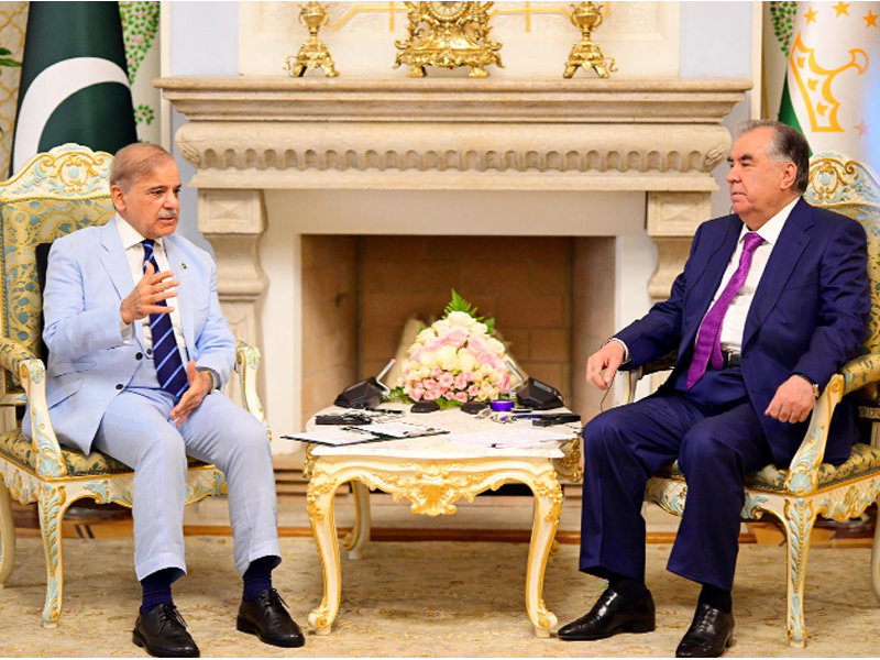 PM Shahbaz calls for boosting trade, connectivity between both countries