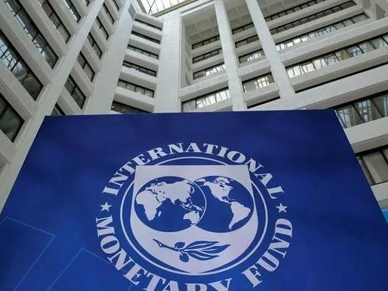 Don’t run after IMF, WB, announce amnesty for dollar collection within country: Hyatt Maggo