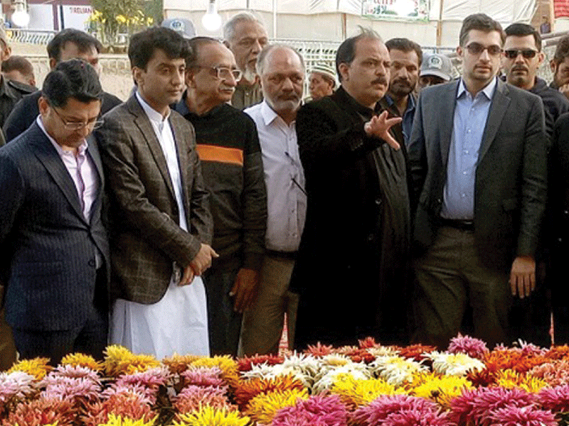 District Central Karachi Pakistan’s 3rd destination to display ‘Chrysanthemum’ exhibition: DC Taha Saleem