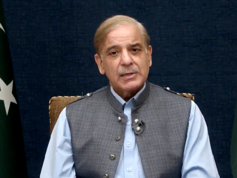 ‘PM Shehbaz forms 13-member committee