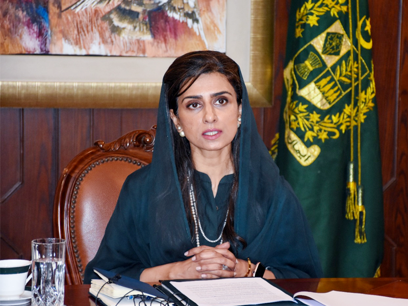 Hina Khar terms India as ‘rogue’ state, hub of ‘terrorism’