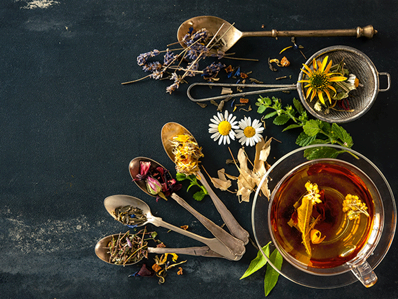 Winter Wellness: Harnessing herbal remedies for seasonal health