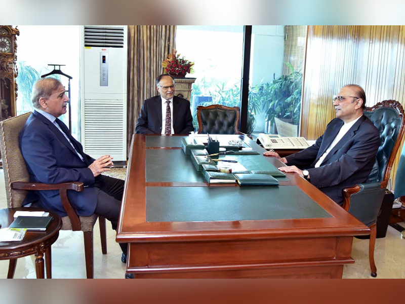 President Zardari, PM Shehbaz discuss public relief in budget