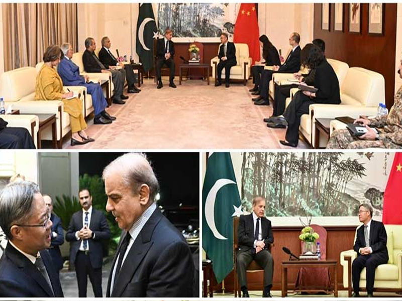 PM Shehbaz visits Chinese Embassy day after firing on Chinese nationals