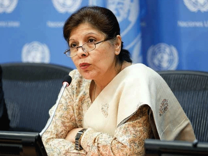 Shamshad reviews Raast implementation, highlights importance of public-private partnership