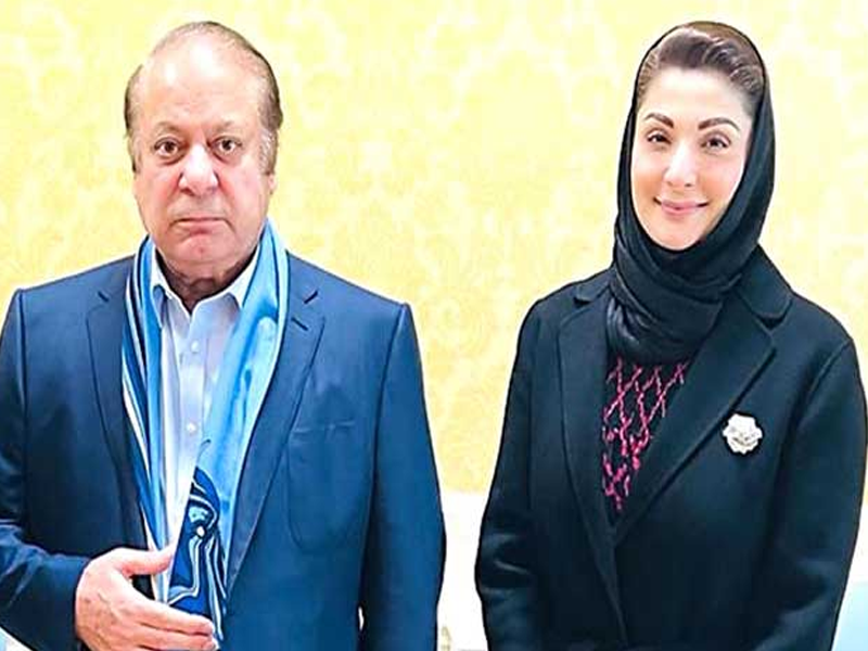 Nawaz Sharif links country's progress to PML-N's return to power