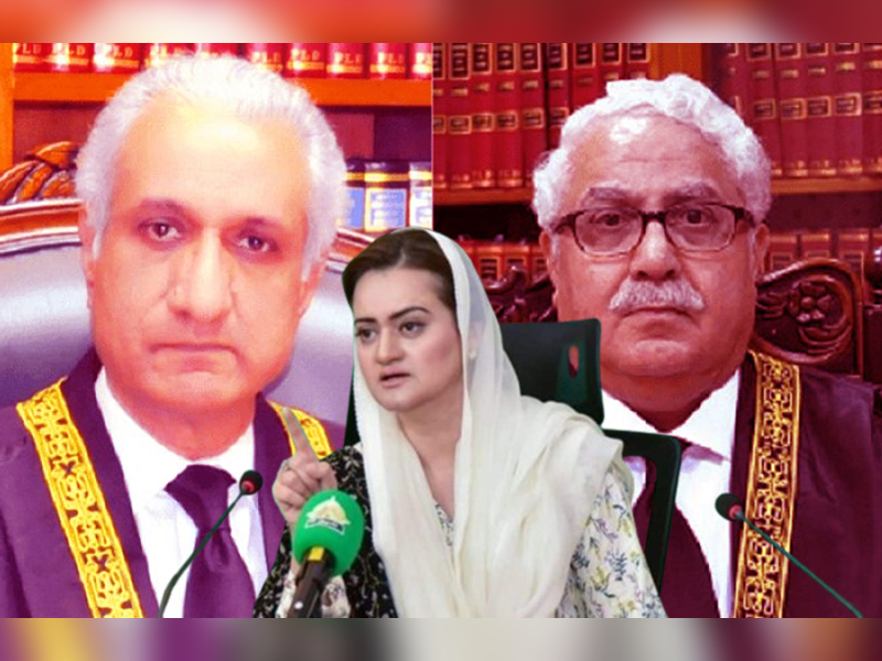 ‘Conspirators against Nawaz reaches climax’, Marriyum reacts to legal eagles’ resignations