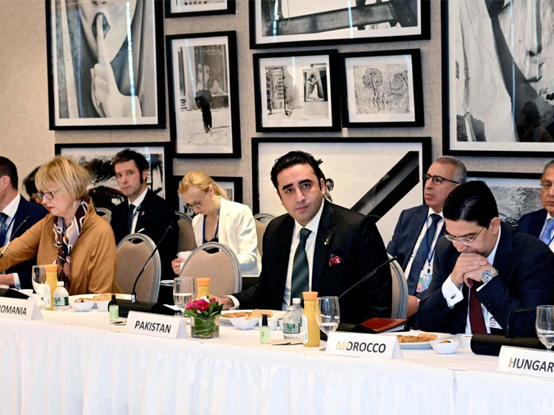 FM Bilawal says neither any help offered nor asked for from India