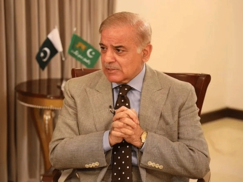 PM Shehbaz for further unity to infuse vigour, strength to Kashmir cause