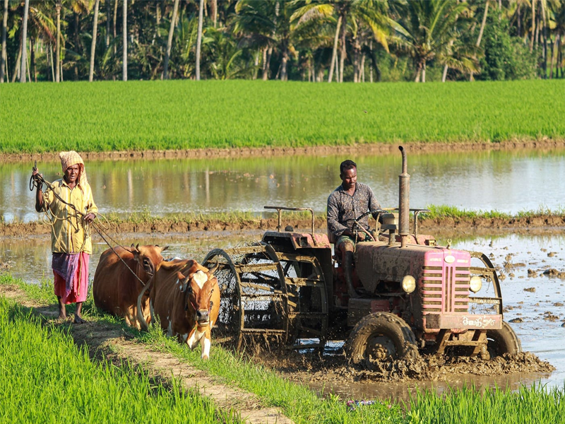 Challenges faced by farmers in Pakistan